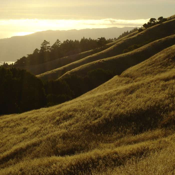 The sun sets over the Pacific Ocean on the Matt Davis Trail. Near Bay Area Ridge Trail: Mount Tamalpais State Park and Bolinas Ridge