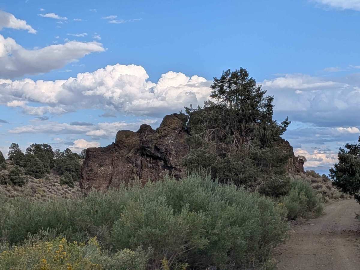 Coyote Springs Road photo 4