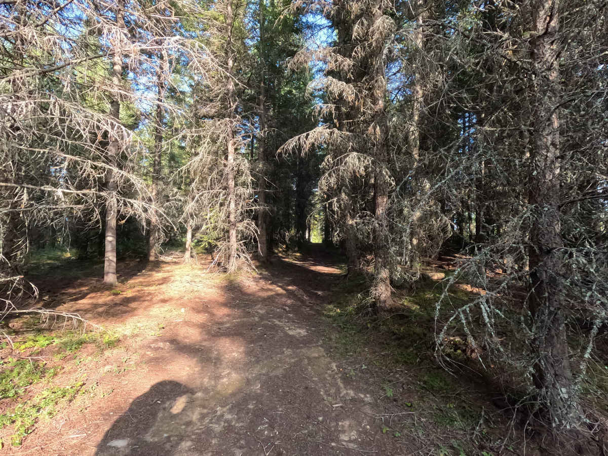 FS 3140510 photo 6
