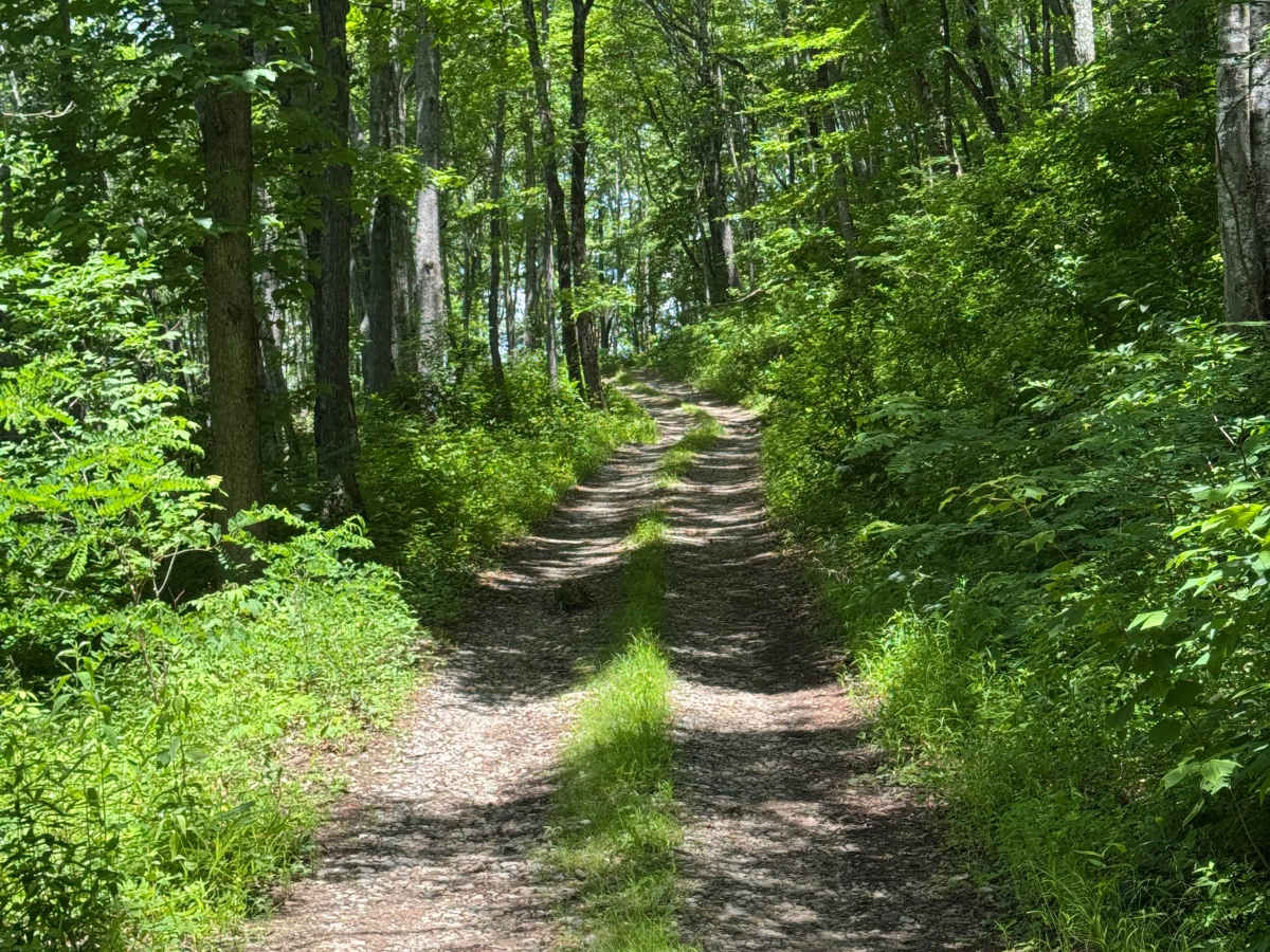 Old Bald Ridge - FS 4652 photo 3
