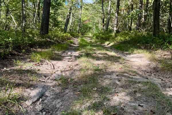 King Trail