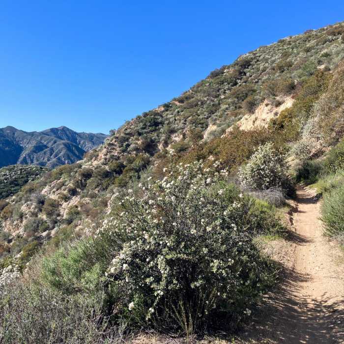Near Brown Mountain Frontside Loop