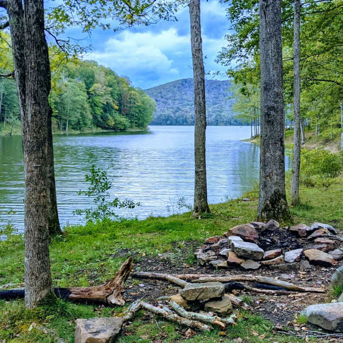 Near North Country Trail (Allegheny National Forest Section)