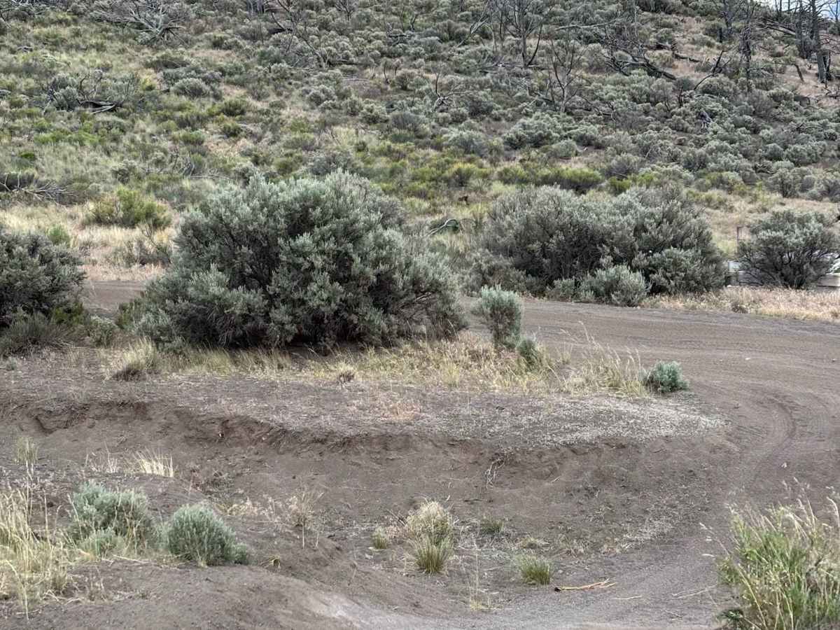 No Name Hill photo 3