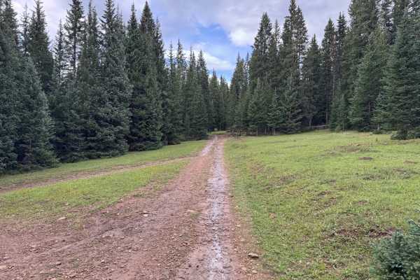 Dillons Cabin B Road