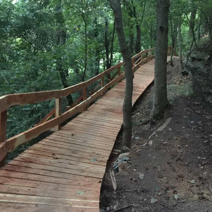 Near The Back 40 Loop