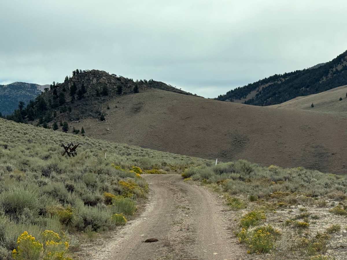 Willow Creek - Viola Mine photo 3