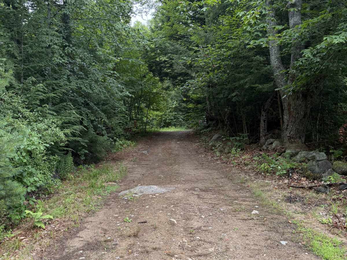 Dummer Road photo 3