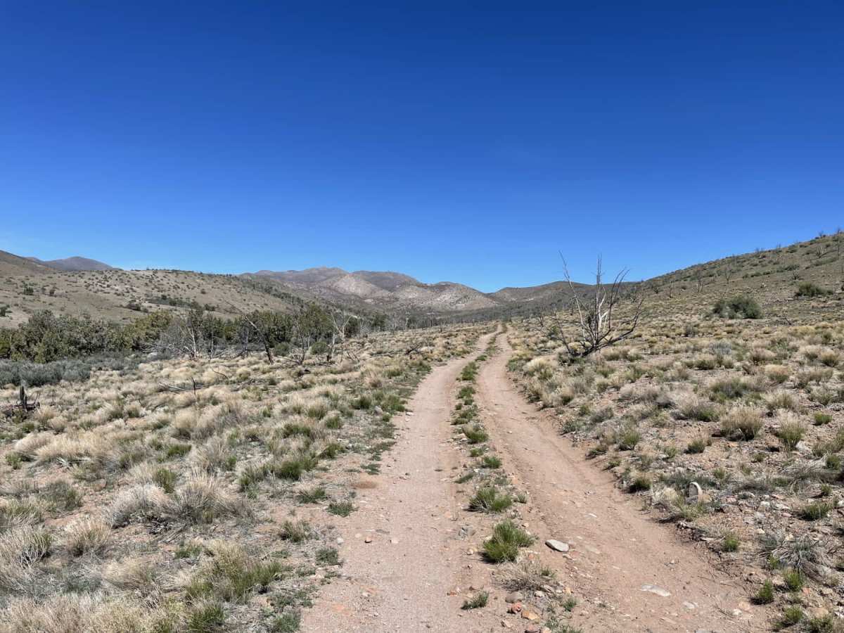 8-Mile Springs photo 5