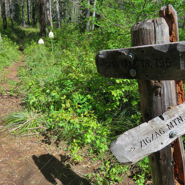 Near Cast Lake Trail #796