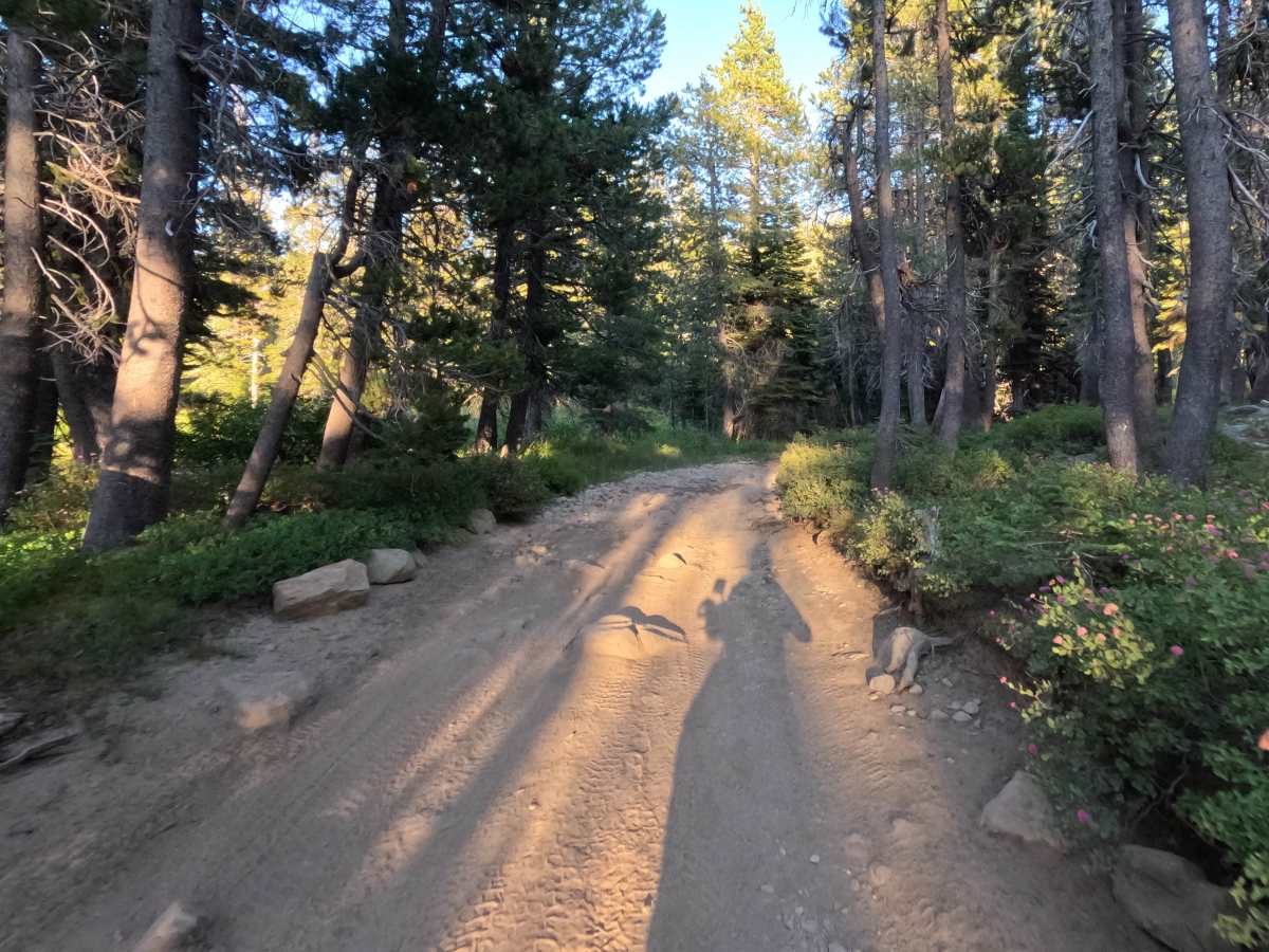 Gold Lake Shore Lower Segment - FS 12M01 photo 2