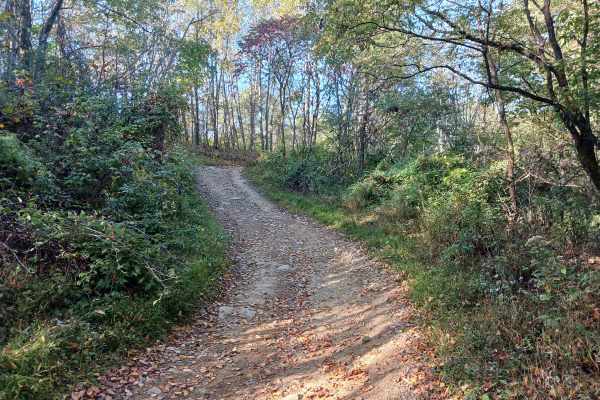 Inner Loop - East - Rock Run Recreation Area