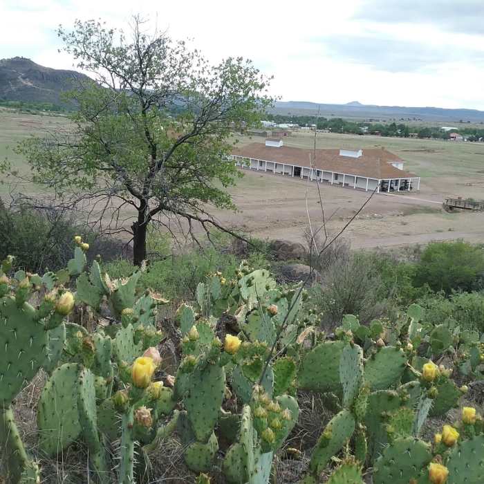 Near Photographers Trail