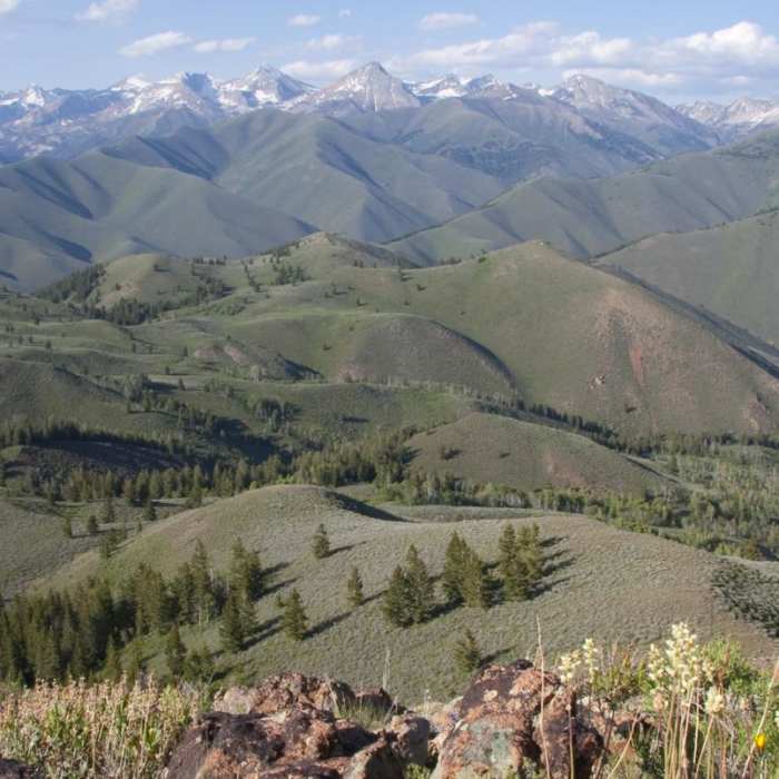 Near Driveway Gulch Hike