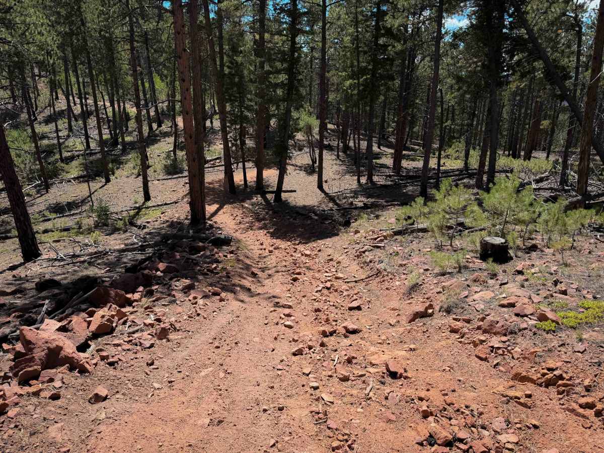 Ridge Trail 734  photo 2