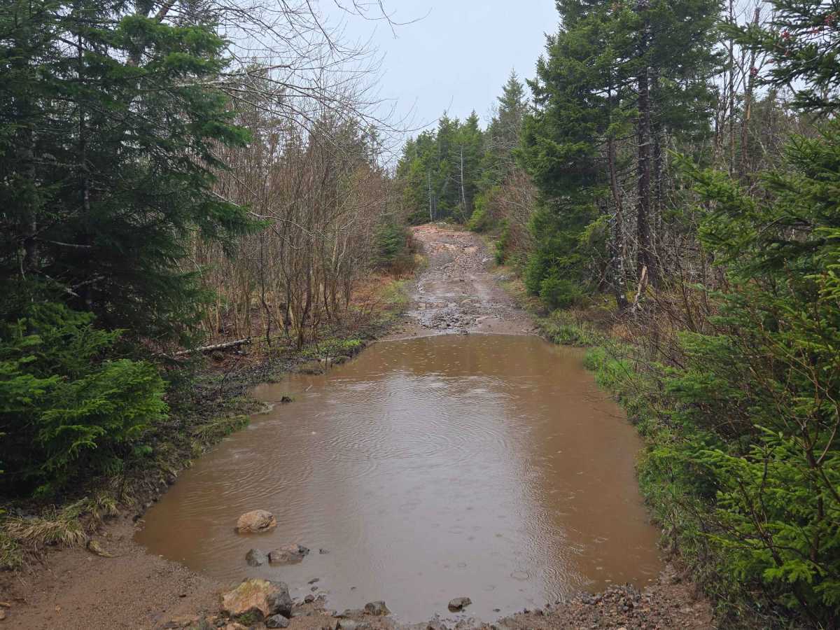 Little Snare Lake Trail photo 2