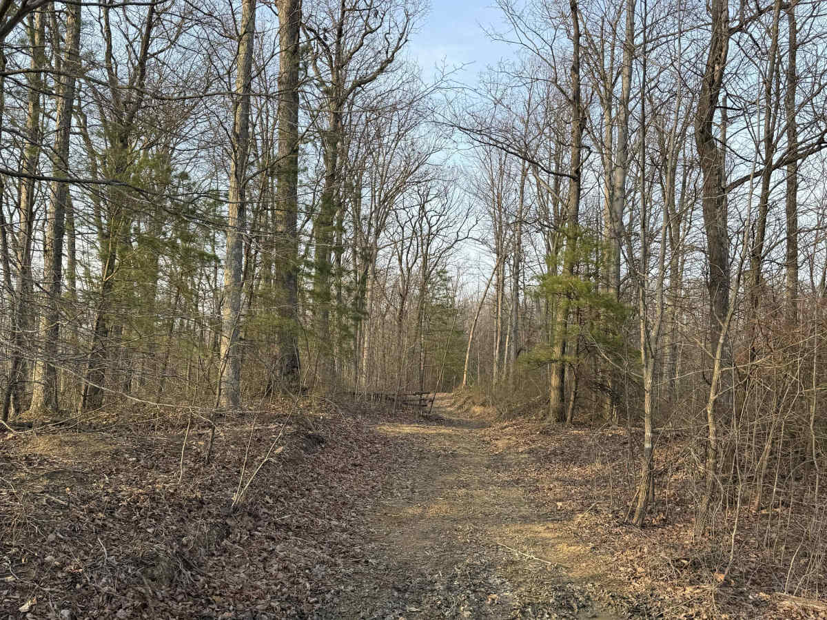 Q27 photo 2