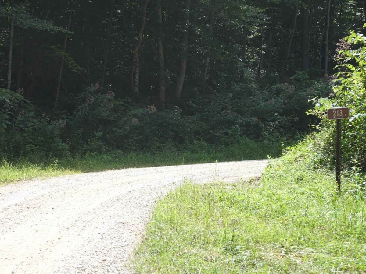 Wolf Knob photo 5