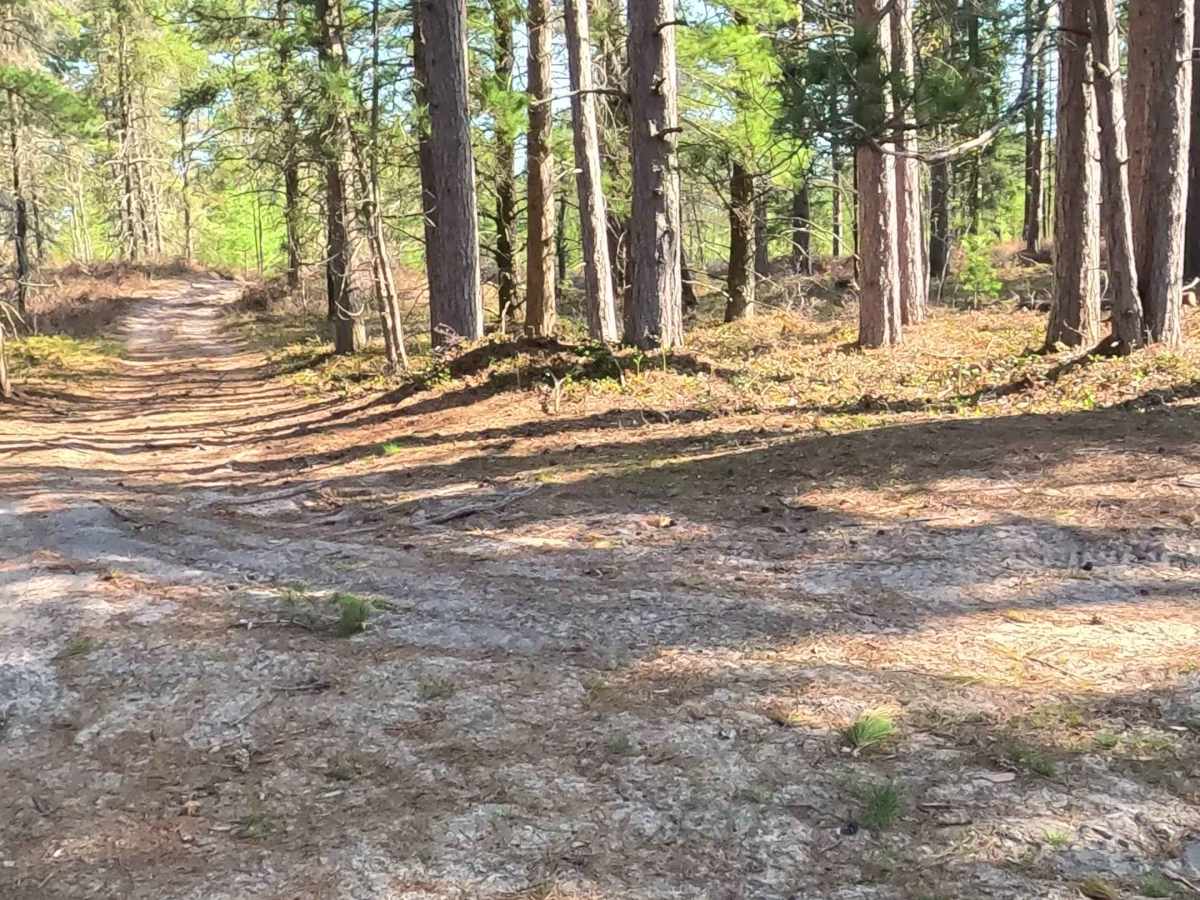 West Brenaman Road photo 4