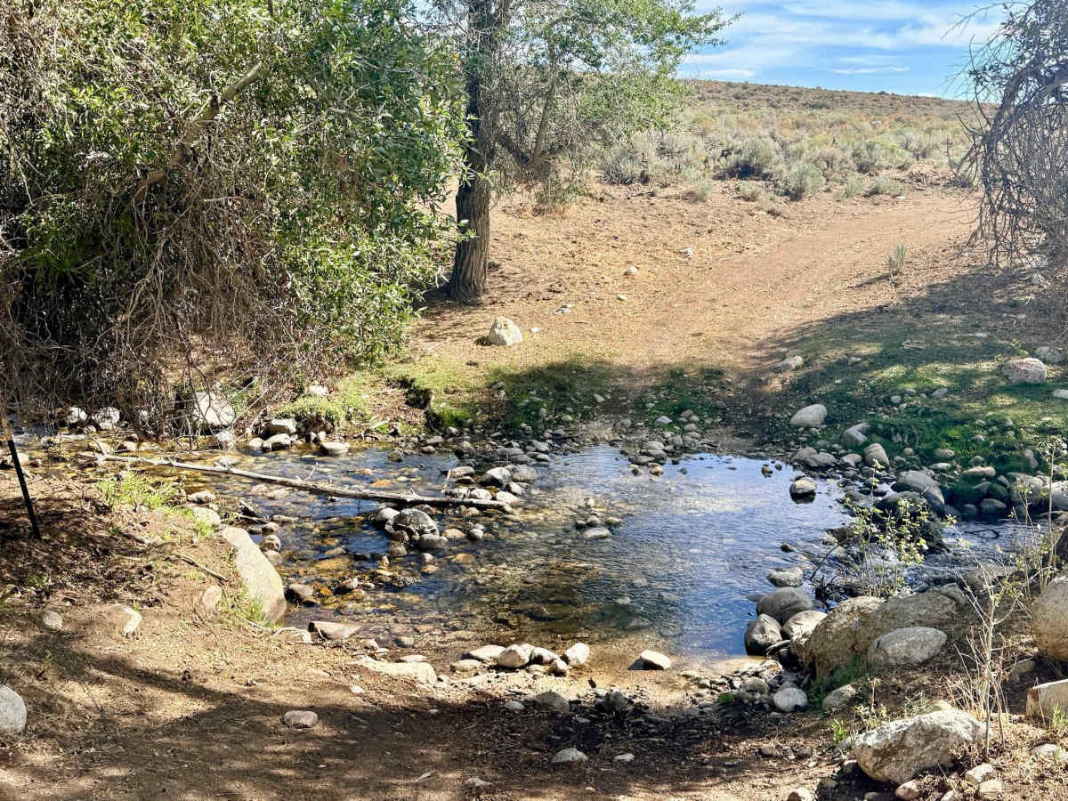 Lutts Creek - FS 57149 photo 3