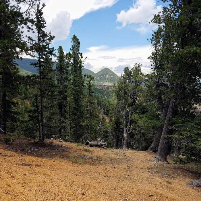 View of Mount Rosa from FSR 379. Near Almagre Mountain South via FSR 379