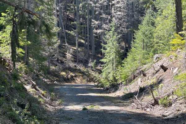 Canyon Road