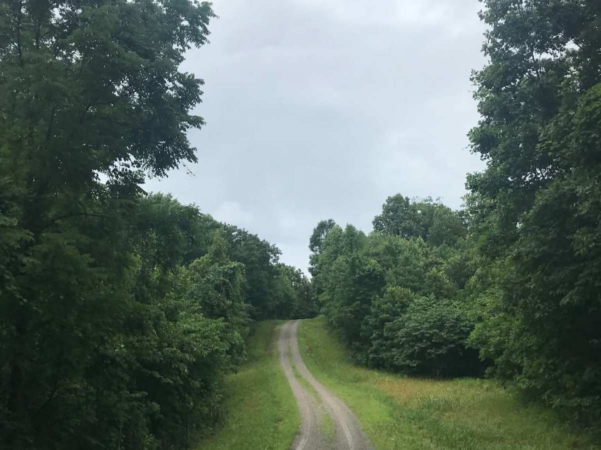 Cades Hollow photo 2