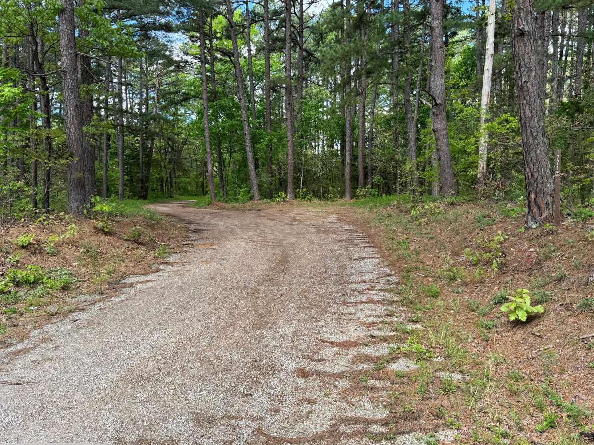 Trout Cemetery - FS 1771 trail photo