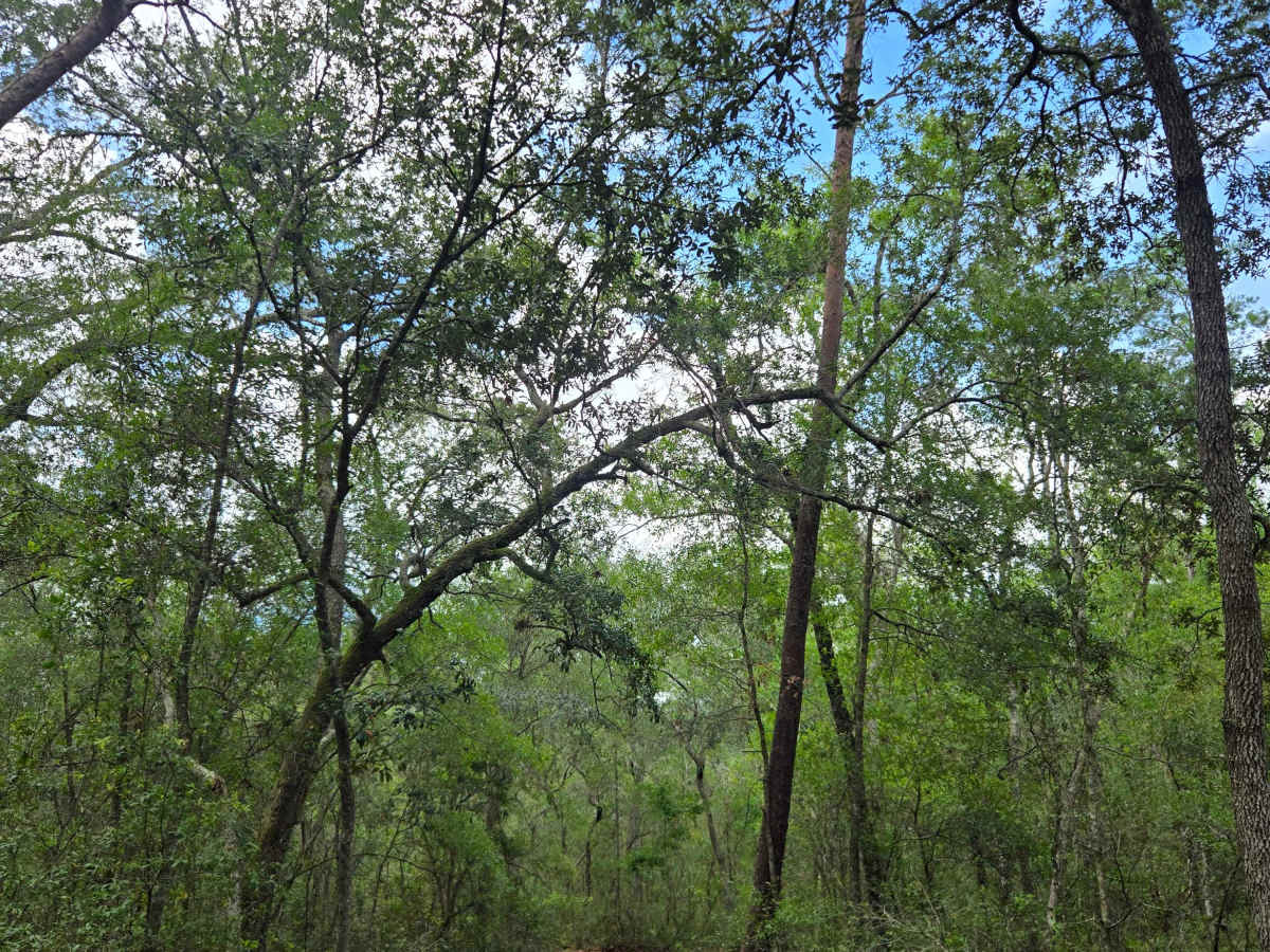 Lake Eaton Way photo 6