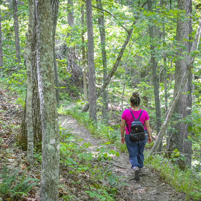 Near Walking Fern Trail Near Walking Fern Trail