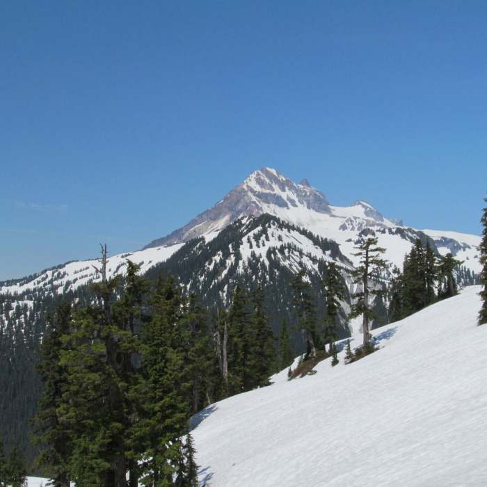Near Mamquam Lake and the Gargoyles