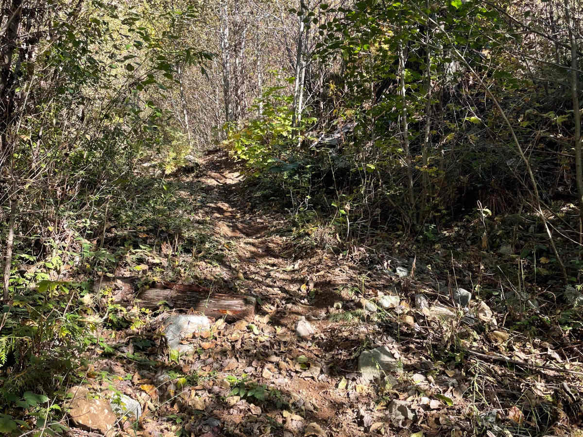 Lower Hydro Hill photo 2