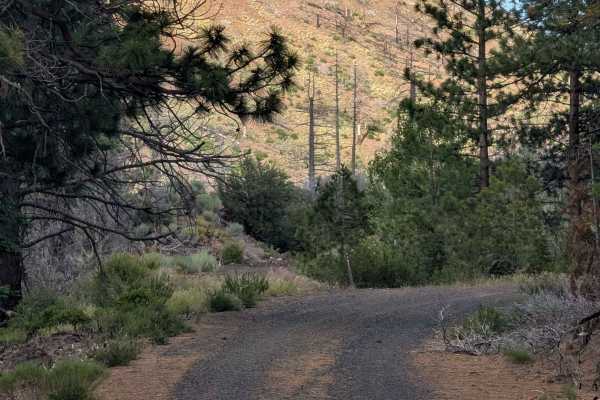Tennant Lava Bed Road - FS 44N28