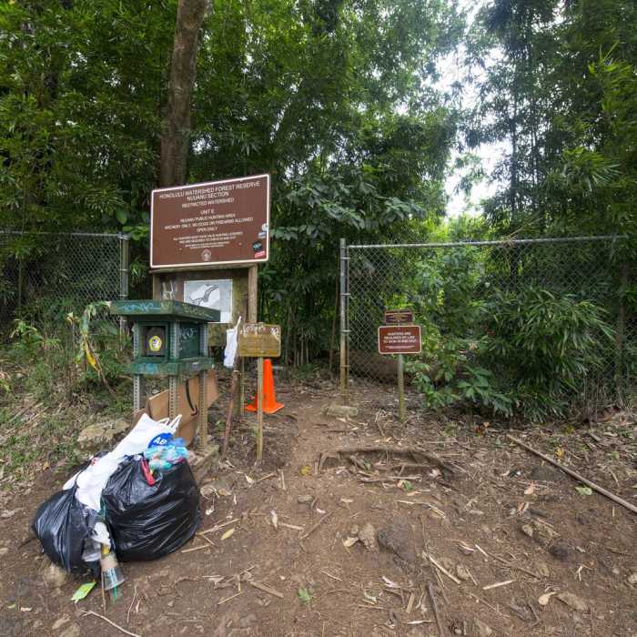 Near Lulumahu Falls Hike