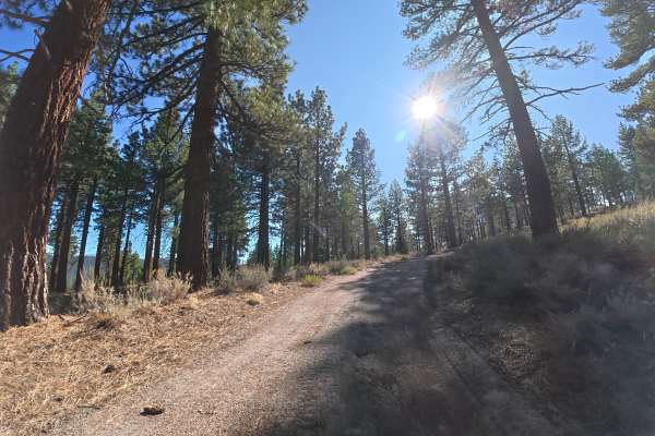 Big Springs Cutoff - FS 2S38