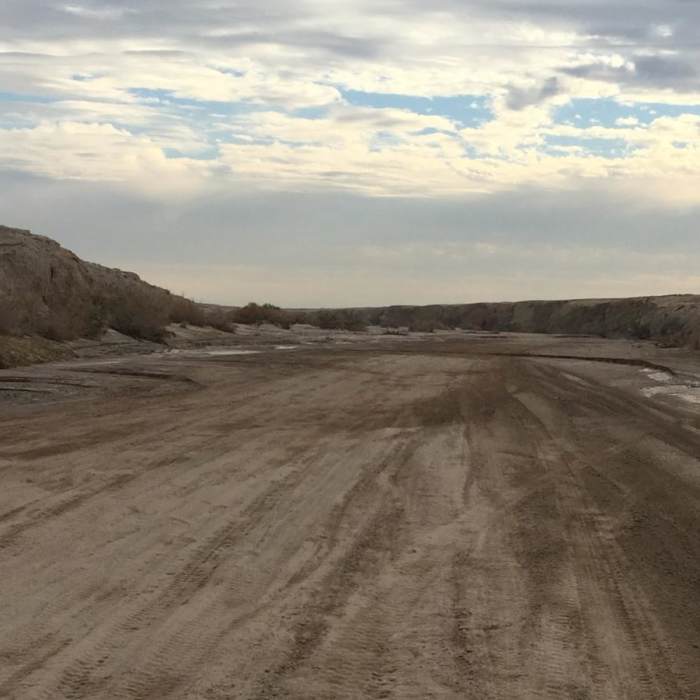 Near Arroyo Salado Loop