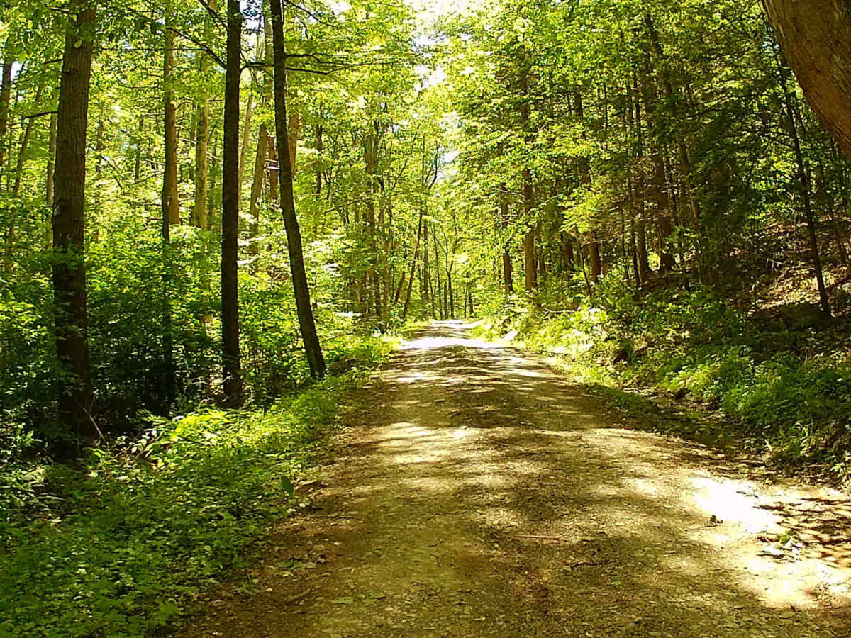 Bell Furnace Road photo 3