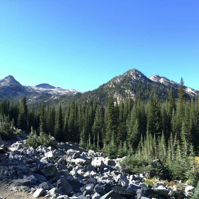 Near West Fork Lostine River Trail #1670