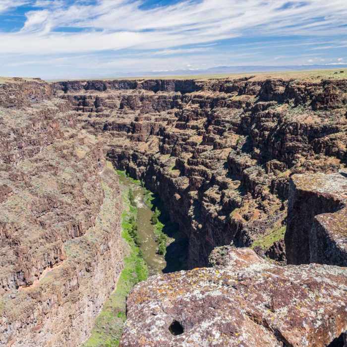 Near Bruneau Canyon Overlook