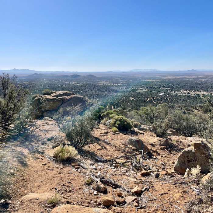 Near Continental Divide Trail: New Mexico Section 6