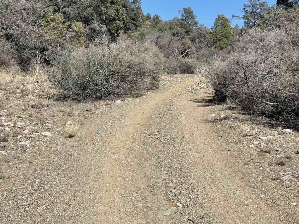 Lower Middlewater Creek photo 4