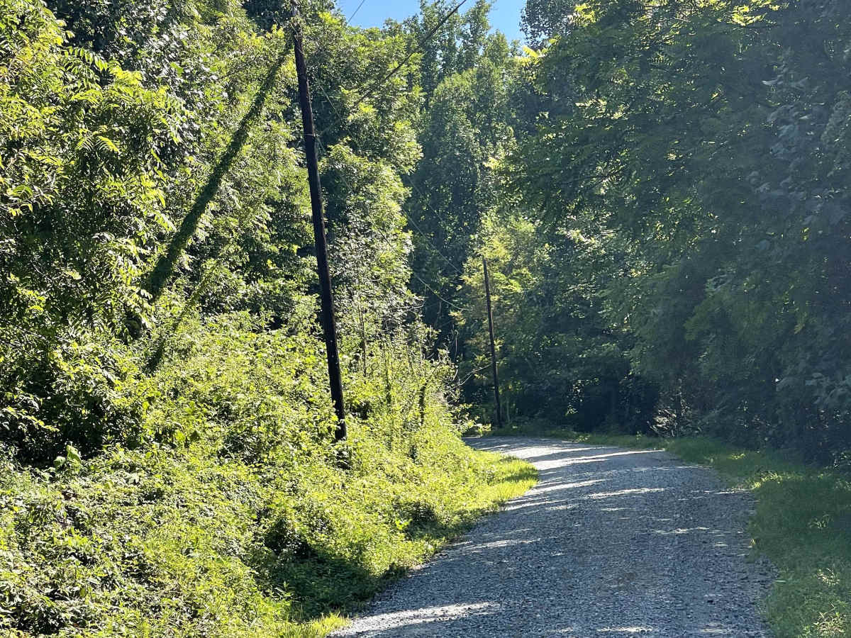 Rackett Branch Road photo 2