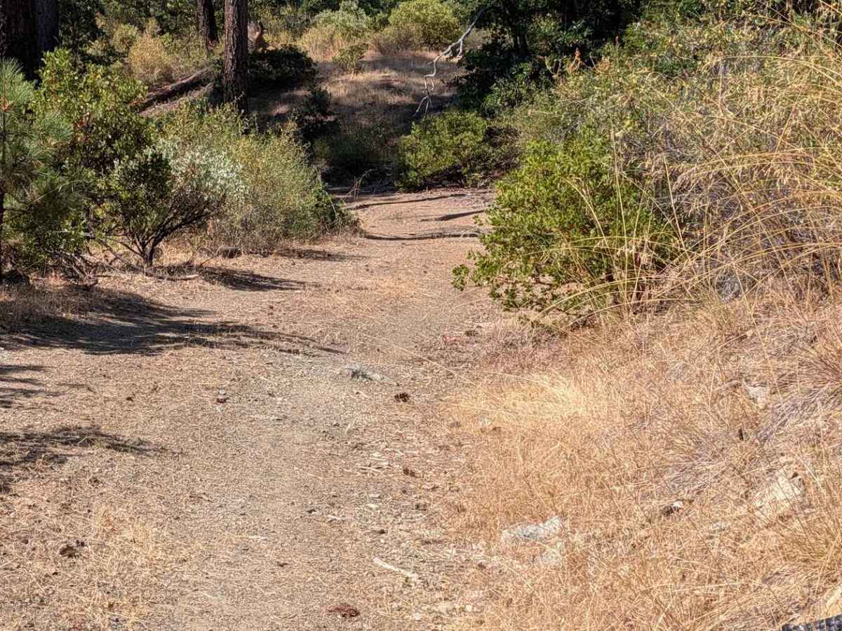 Friend Ranch Road - FS 1N40 trail photo
