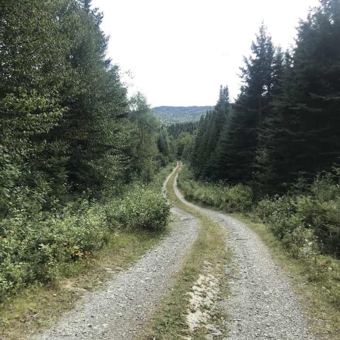 Near Sophie's Lane (ATV Route)