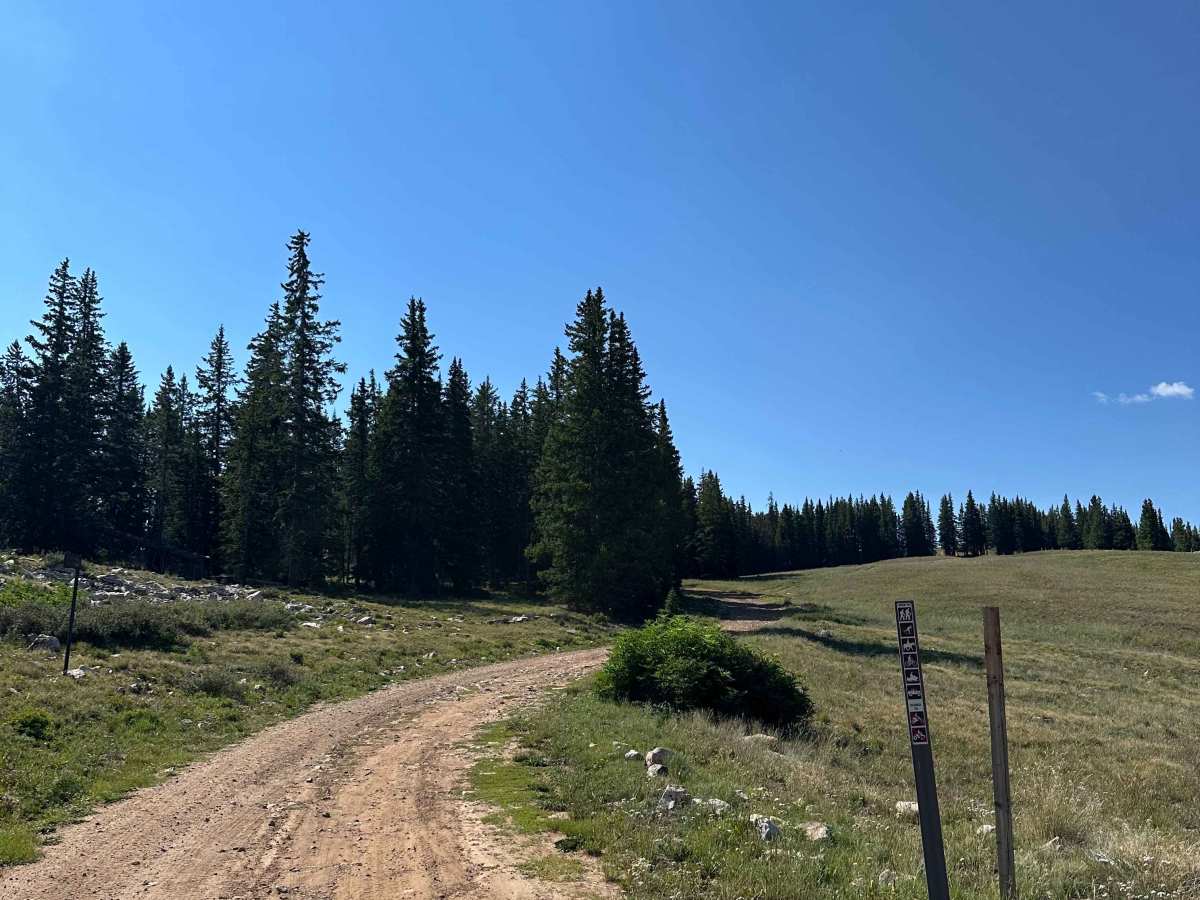 Richmond Hill Road trail photo