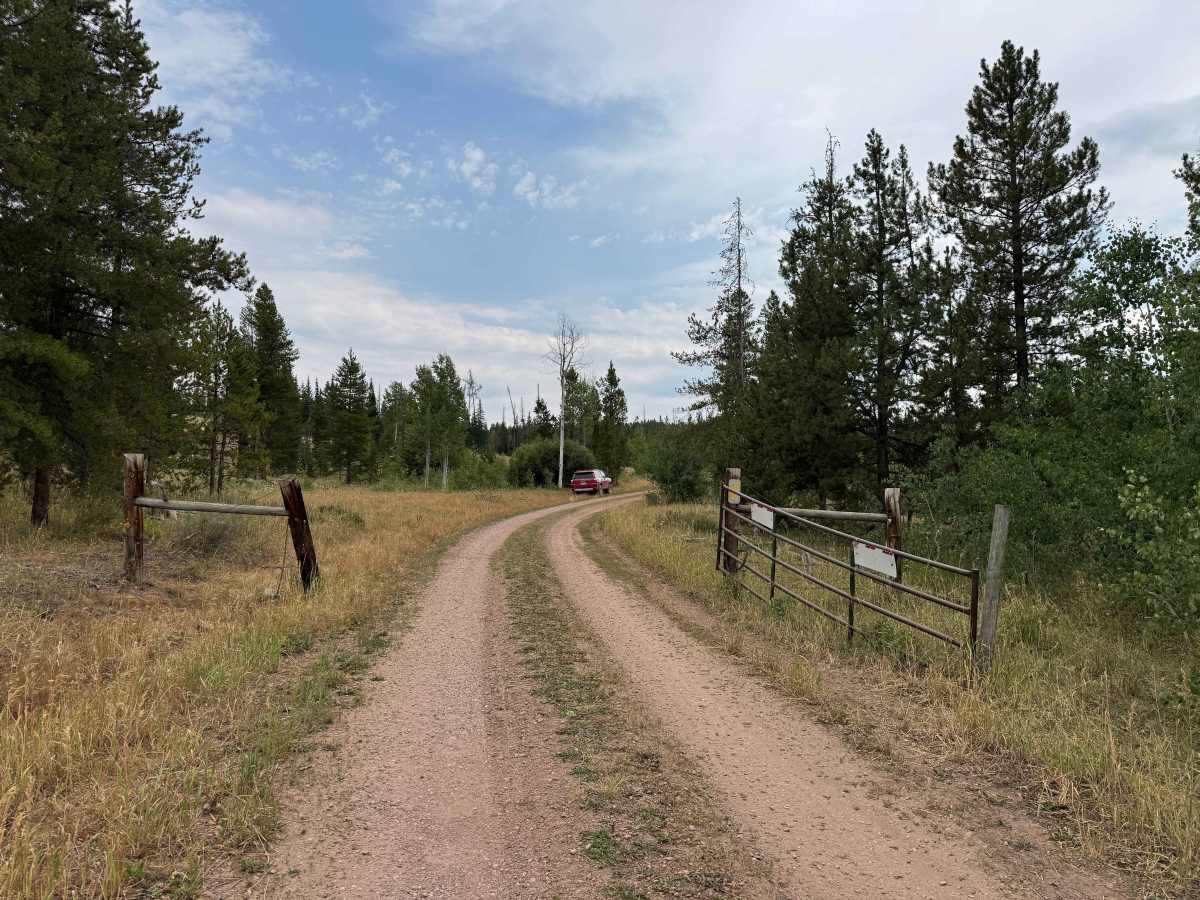 Morgan Creek Road - FS 442 photo 3