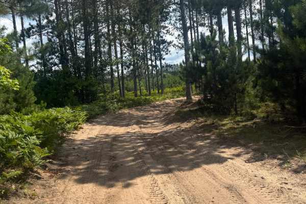 Hendrickson Trail