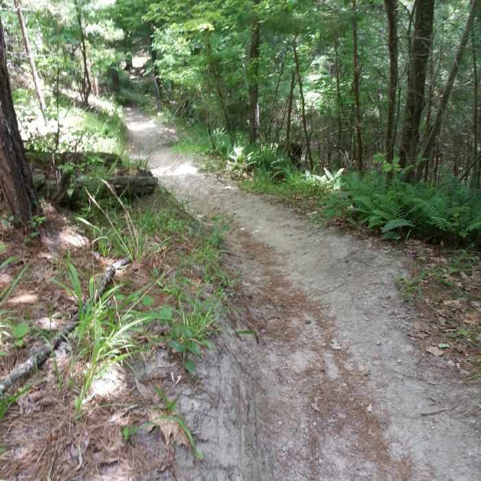 Near Harbison Long Loop