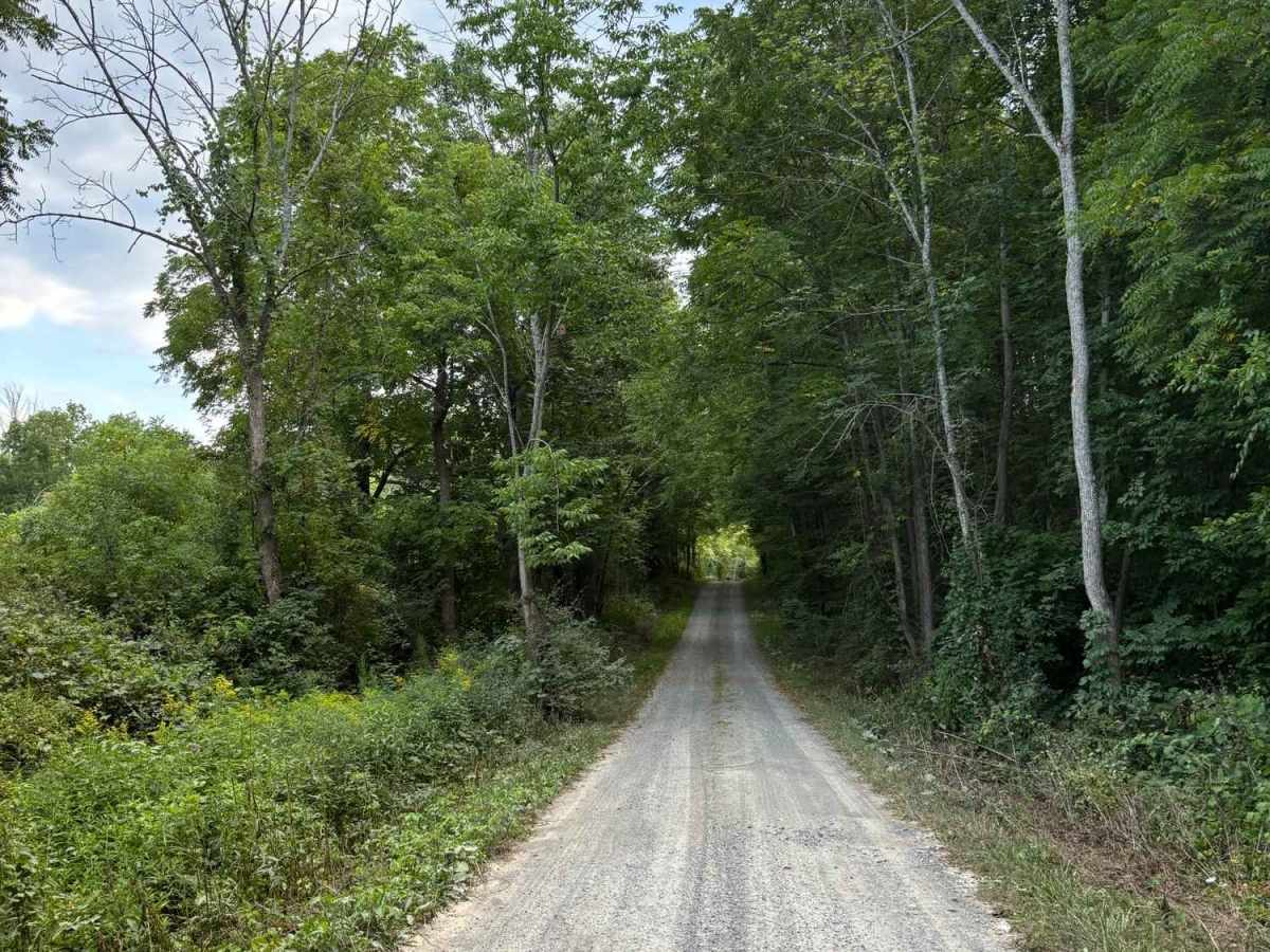 River Road photo 3