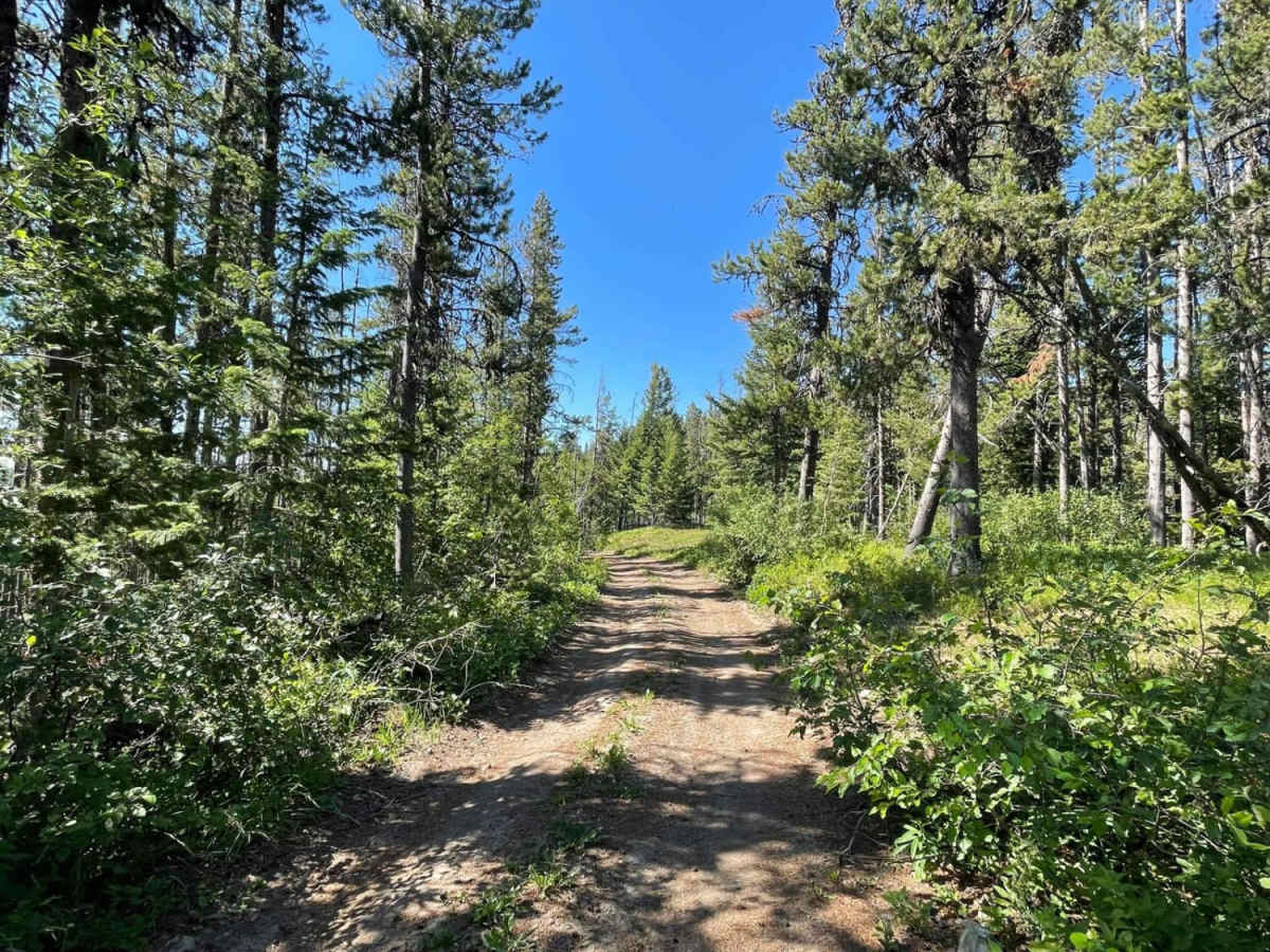 Miller Peak photo 6